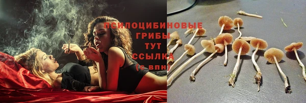 кокс Абдулино